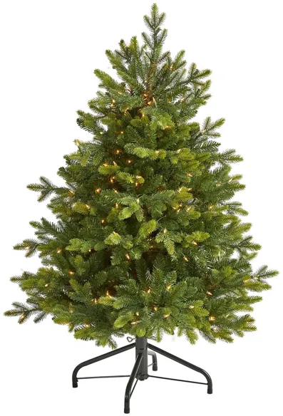 4ft. Pre-Lit North Carolina Fir Artificial Christmas Tree in Green by Bellanest