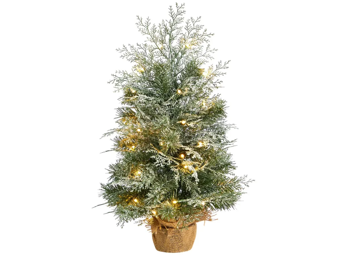 2' Frosted Artificial Christmas Tree with LED Lights in Burlap Base in Green by Bellanest