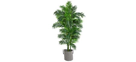6' Artificial Palm Tree in Black and White Planter in Green by Bellanest