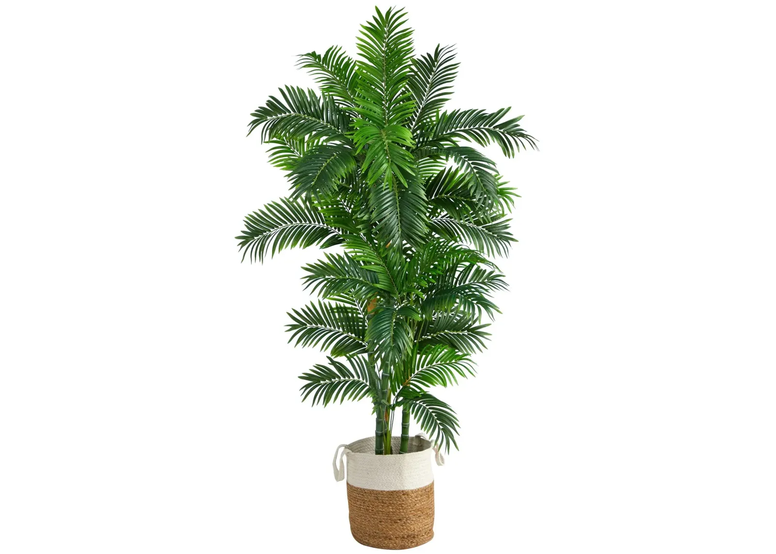 6' Artificial Palm Tree in Planter in Green by Bellanest