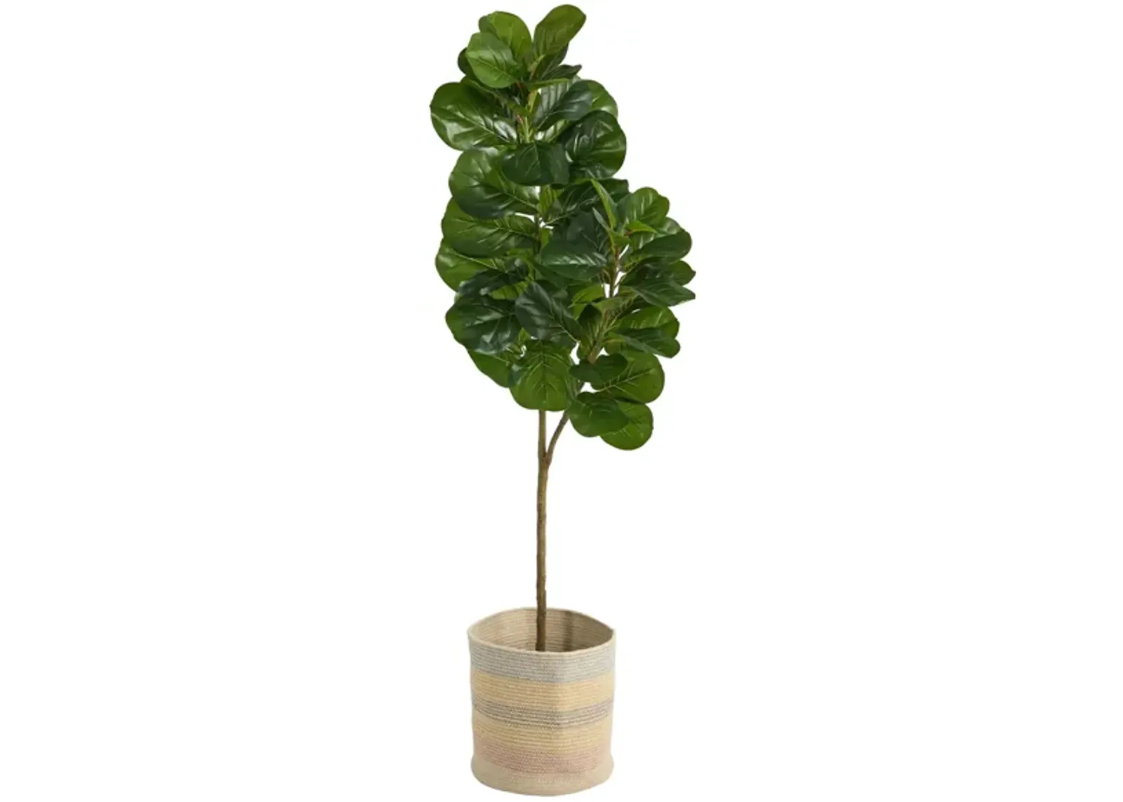 5.5' Fiddle Leaf Fig Artificial Tree in Multicolored Planter in Green by Bellanest