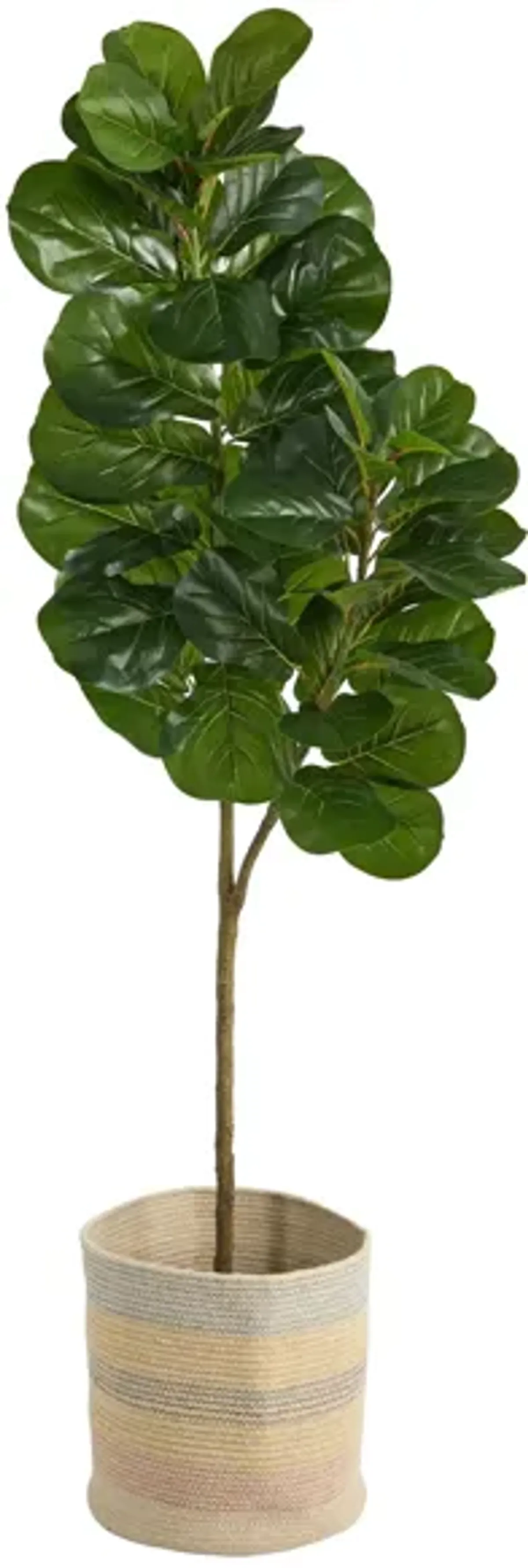 5.5' Fiddle Leaf Fig Artificial Tree in Multicolored Planter in Green by Bellanest