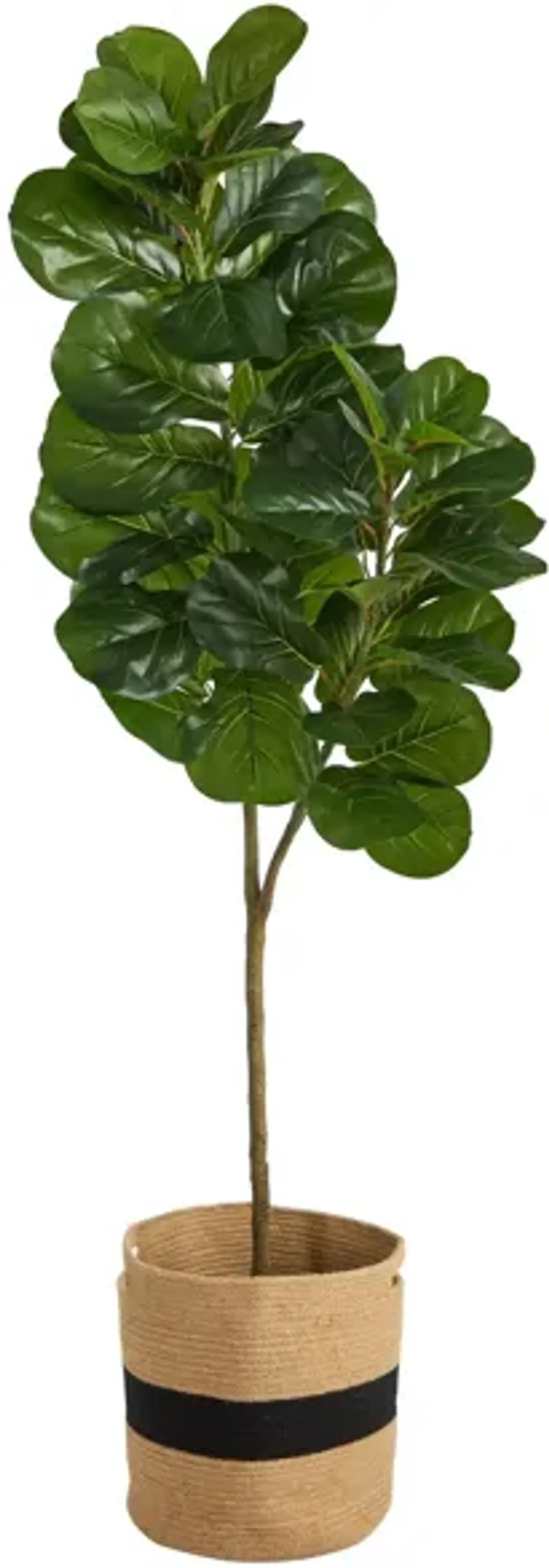 5.5' Fiddle Leaf Fig Artificial Tree in Cotton Planter in Green by Bellanest