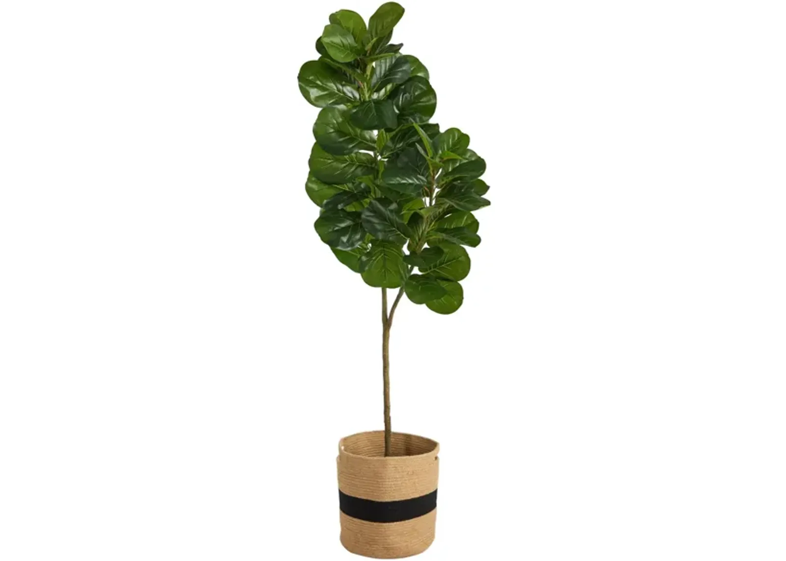 5.5' Fiddle Leaf Fig Artificial Tree in Cotton Planter in Green by Bellanest