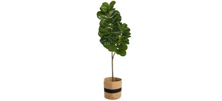 5.5' Fiddle Leaf Fig Artificial Tree in Cotton Planter in Green by Bellanest