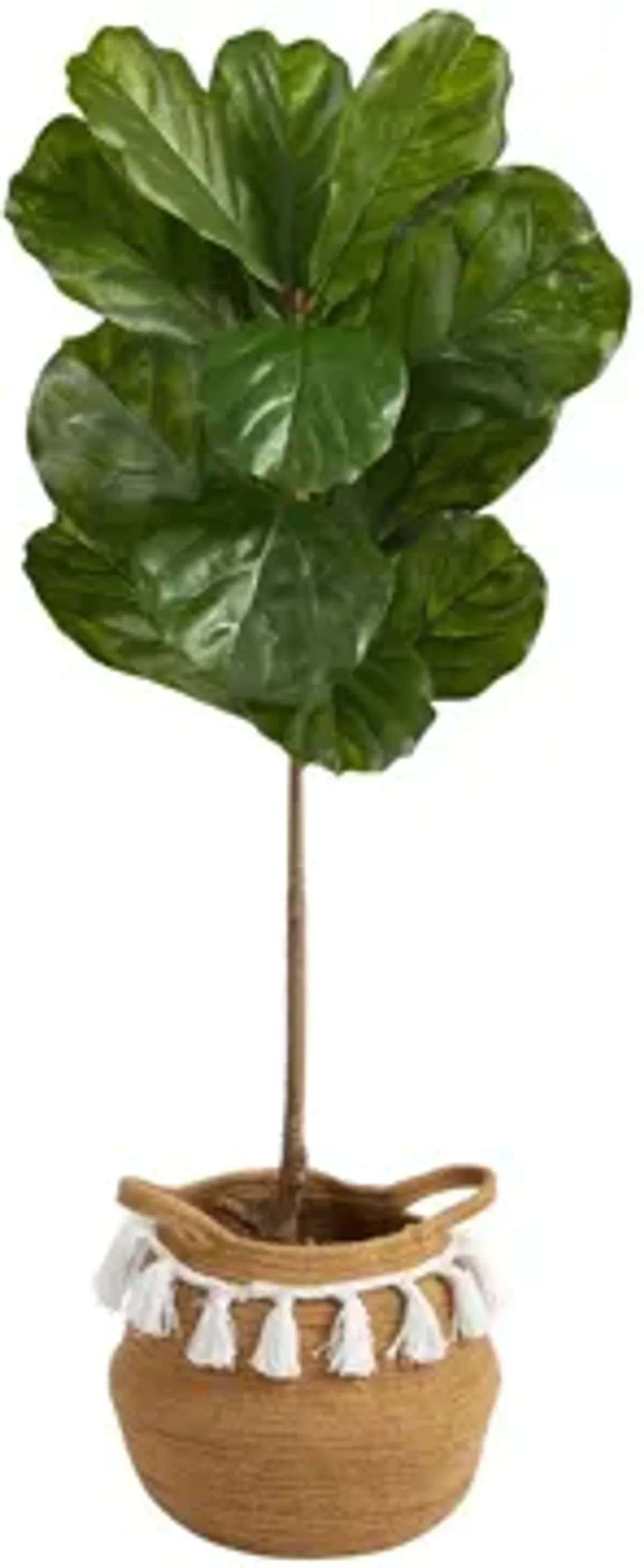 4' Indoor/Outdoor Fiddle Leaf Artificial Tree in Planter with Tassels