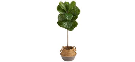 4' Indoor/Outdoor Fiddle Leaf Artificial Tree in Gray Planter in Green by Bellanest