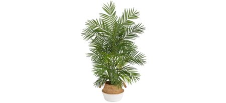 4' Areca Artificial Palm in Woven Planter in Green by Bellanest