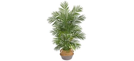 4' Areca Artificial Palm in Gray Woven Planter in Green by Bellanest