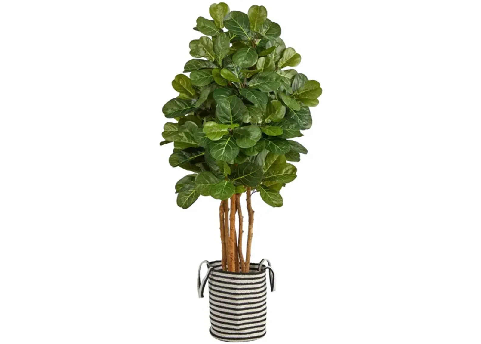 5' Fiddle Leaf Fig Artificial Tree in Cotton Planter in Green by Bellanest