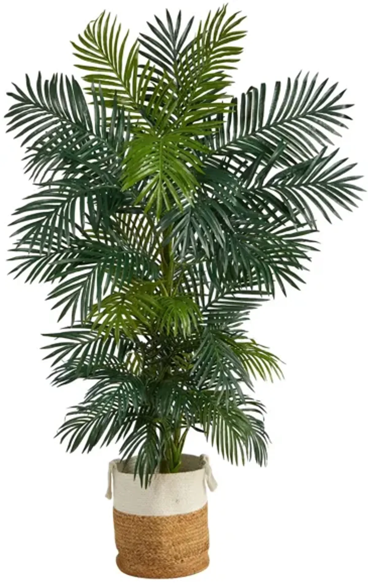 6.5' Golden Cane Artificial Palm Tree in Planter in Green by Bellanest