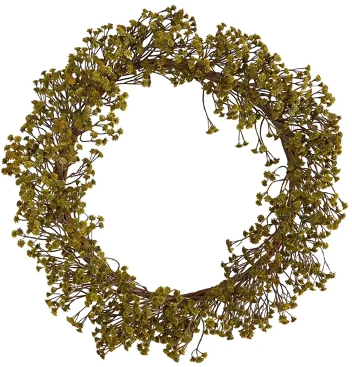 Crisp 20" Gypsophila Wreath in Green by Bellanest