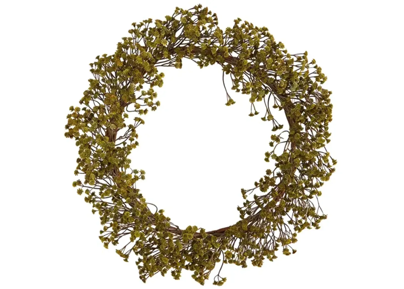 Crisp 20" Gypsophila Wreath in Green by Bellanest