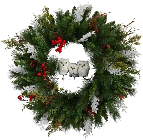 Adak 24" Winter Owl Wreath