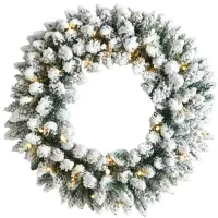 Adak 24" Pre-Lit Snowy Flocked Christmas Wreath in Green by Bellanest