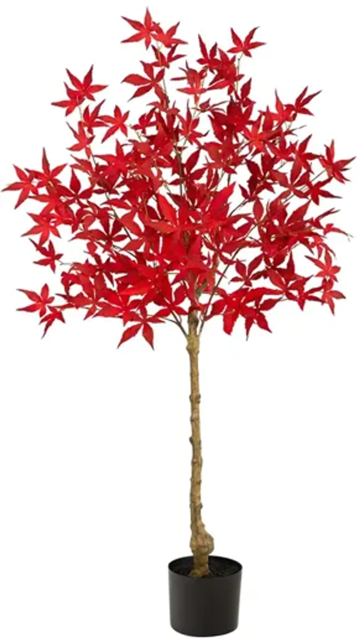 Fall foliage 4ft Maple Tree in Orange by Bellanest