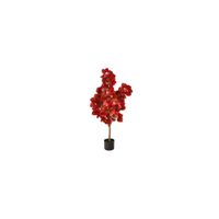 Fall foliage 4ft Pomegranate Tree in Orange by Bellanest