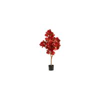 Fall foliage 3ft Pomegranate Tree in Orange by Bellanest