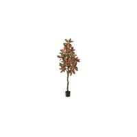 Fall foliage 6ft Magnolia Tree in Brown by Bellanest
