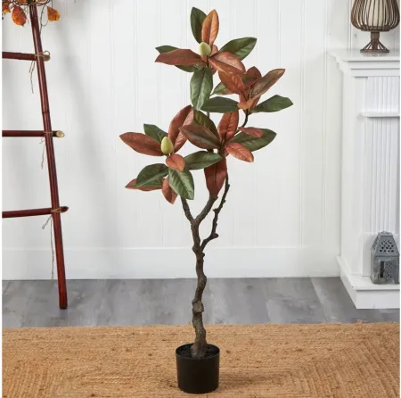 Fall foliage 4ft Magnolia Tree in Brown by Bellanest