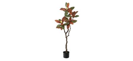 Fall foliage 4ft Magnolia Tree in Brown by Bellanest