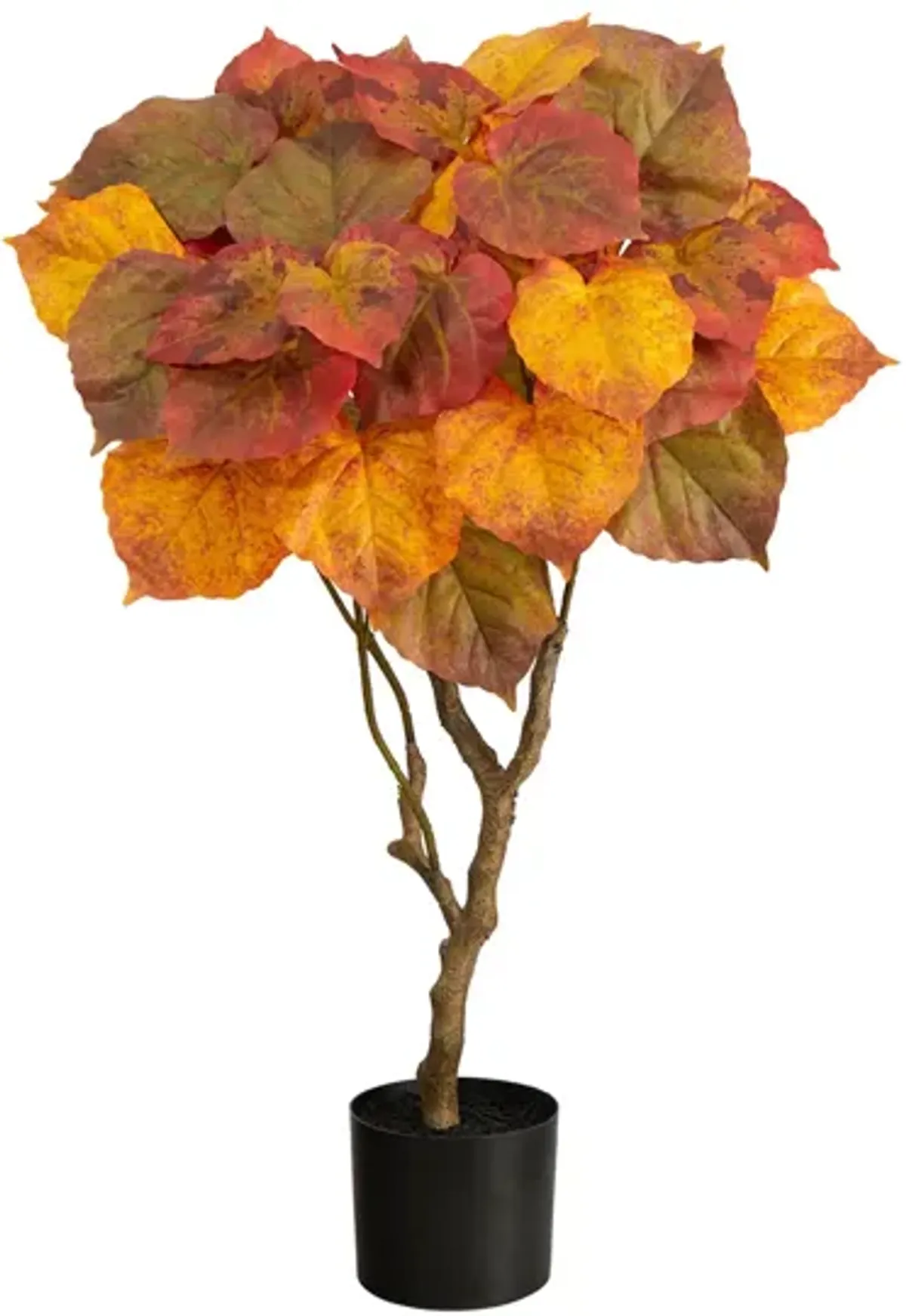 Fall foliage 3ft Umbrella Ficus Tree in Orange by Bellanest