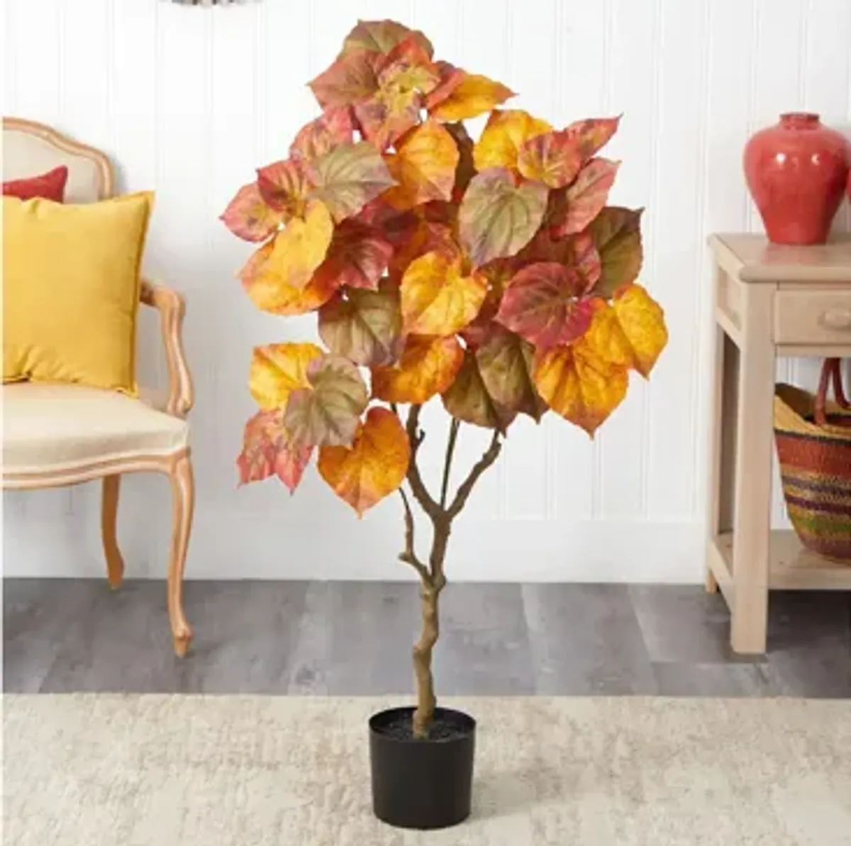 Fall foliage 4ft Umbrella Ficus Tree