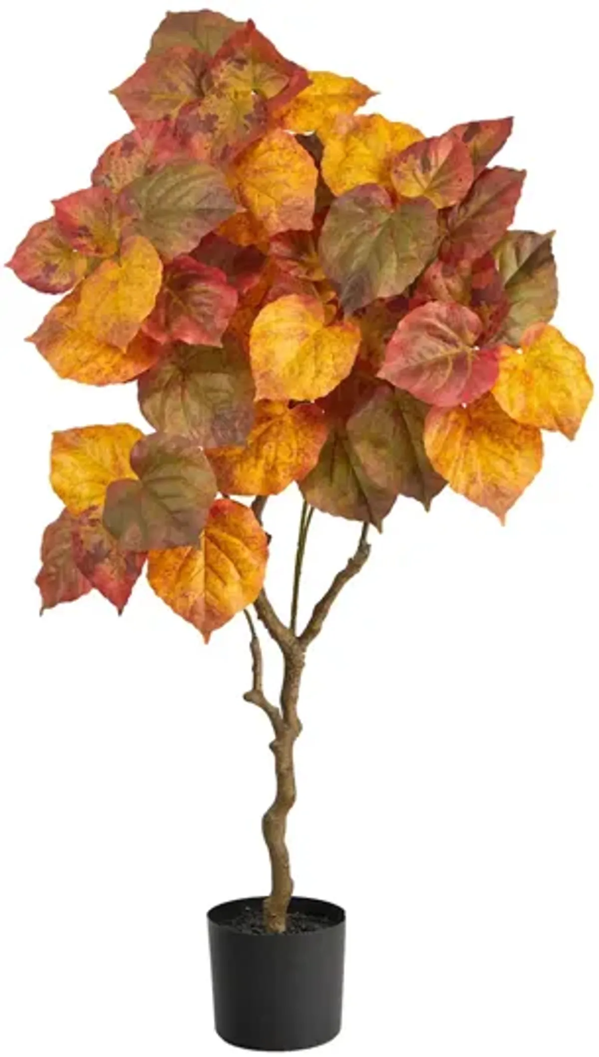 Fall foliage 4ft Umbrella Ficus Tree in Orange by Bellanest