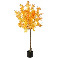 Fall foliage 4ft Harvest Maple Tree in Yellow by Bellanest