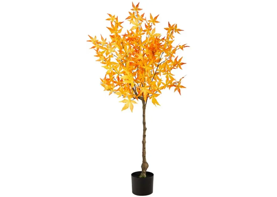 Fall foliage 4ft Harvest Maple Tree in Yellow by Bellanest