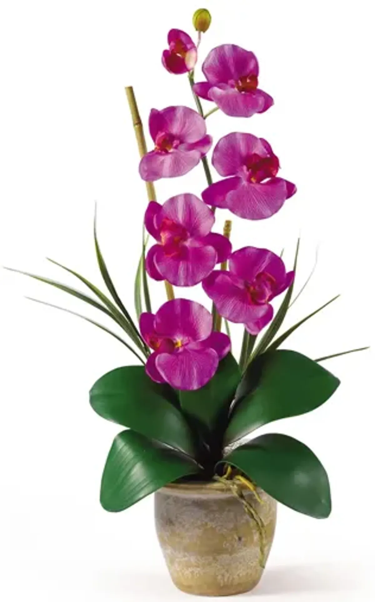 Phalaenopsis Silk Orchid Flower Artificial Arrangement in Orchid by Bellanest