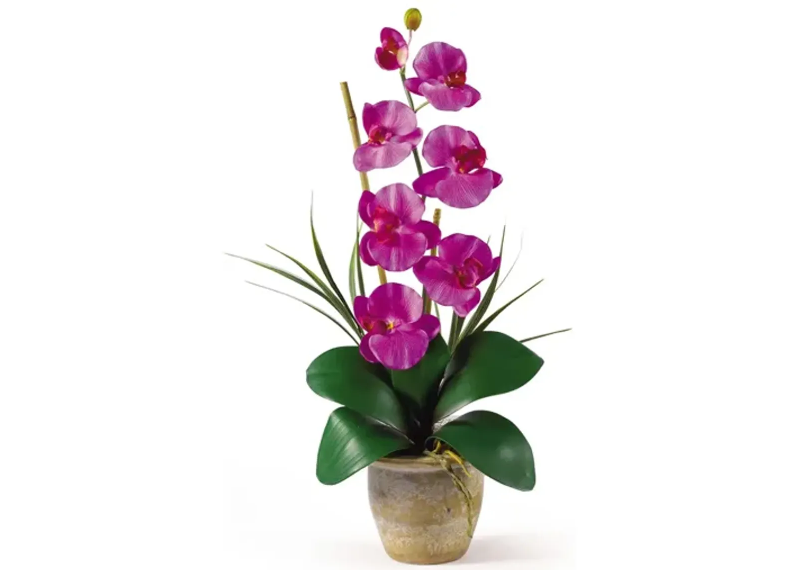 Phalaenopsis Silk Orchid Flower Artificial Arrangement in Orchid by Bellanest