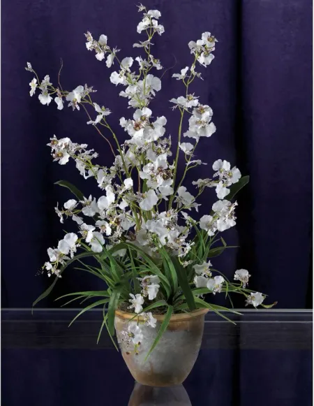 Dancing Lady Silk Orchid Artificial Arrangement in White by Bellanest