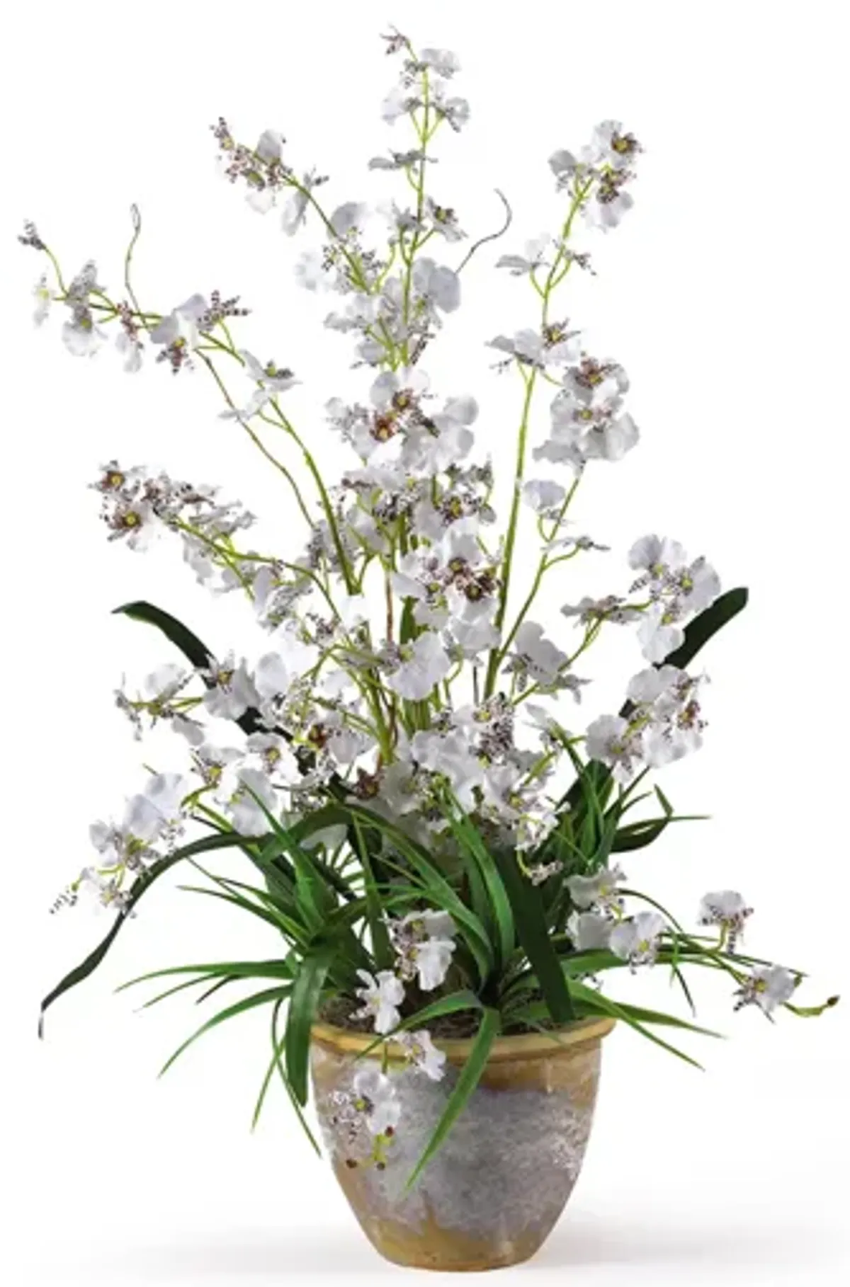 Dancing Lady Silk Orchid Artificial Arrangement in White by Bellanest