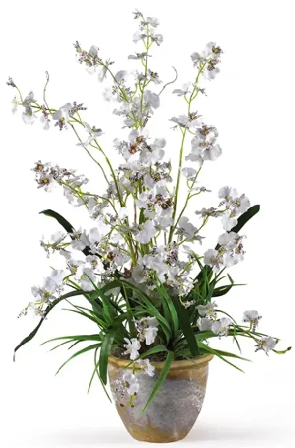 Dancing Lady Silk Orchid Artificial Arrangement