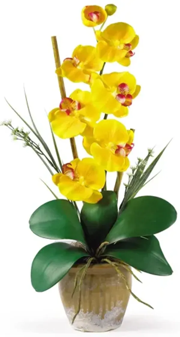 Phalaenopsis Silk Orchid Flower Arrangement