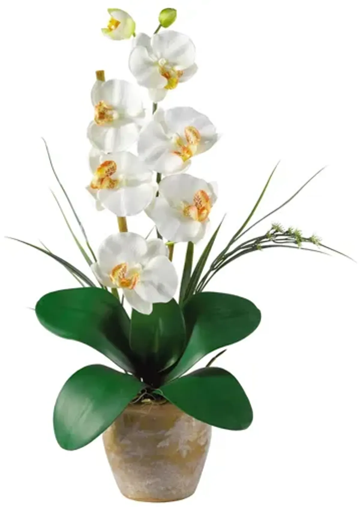 Phalaenopsis Silk Orchid Flower Artificial Arrangement in Cream by Bellanest