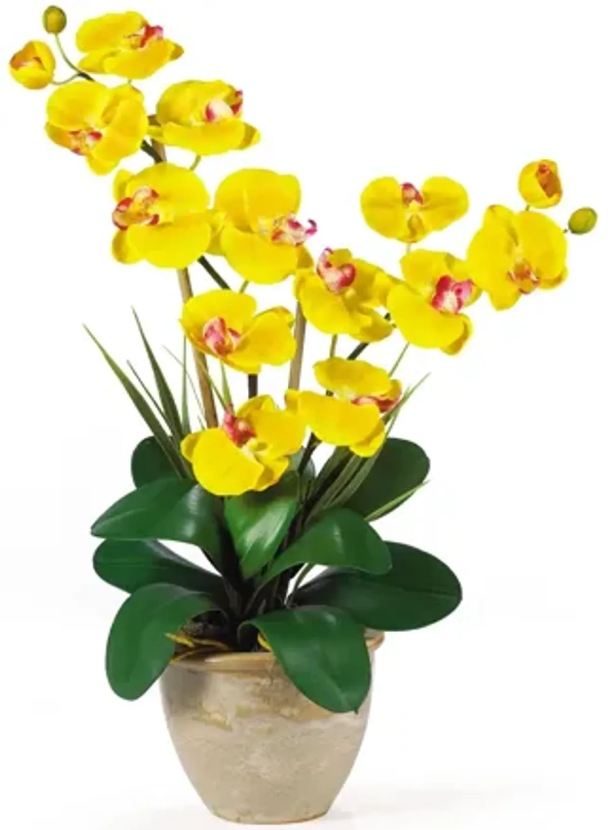 Double Phalaenopsis Silk Orchid Flower Arrangement in Yellow by Bellanest