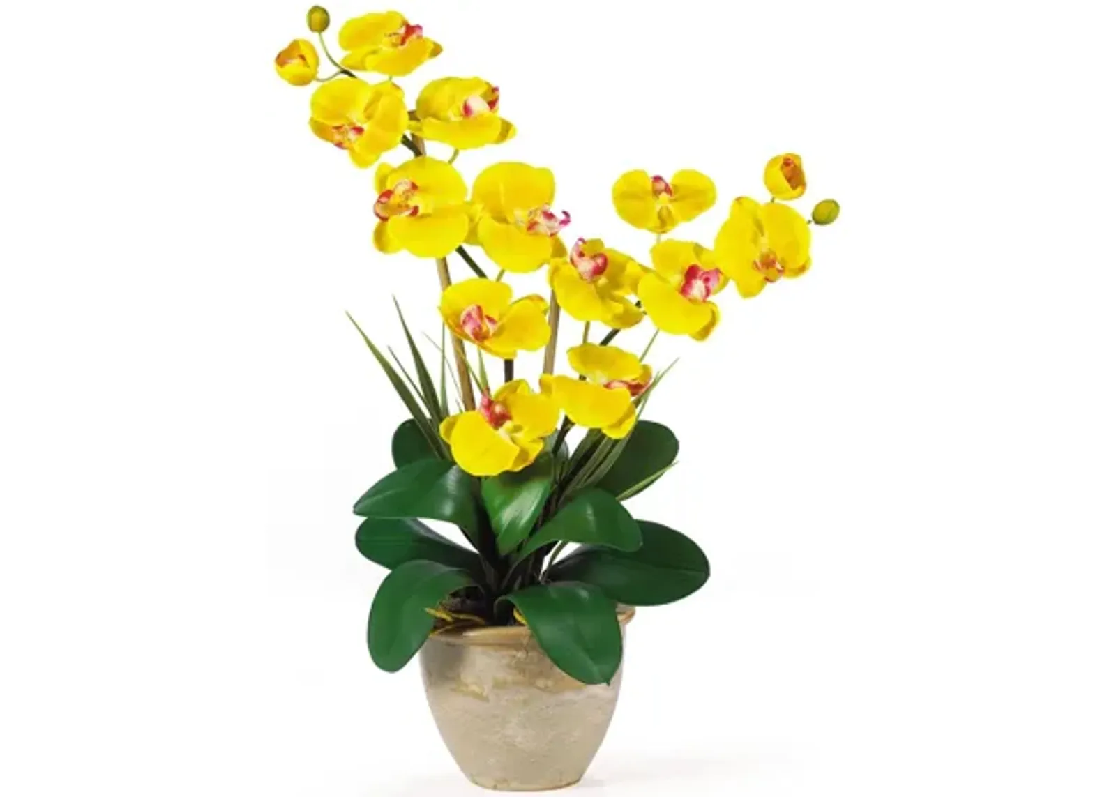 Double Phalaenopsis Silk Orchid Flower Arrangement