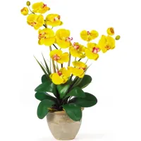 Double Phalaenopsis Silk Orchid Flower Arrangement in Yellow by Bellanest