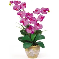 Double Phalaenopsis Silk Orchid Flower Artificial Arrangement in Orchid by Bellanest