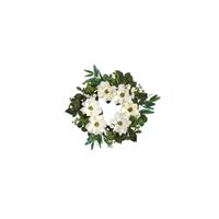 23in. Magnolia, Eucalyptus and Berries Artificial Wreath in White by Bellanest