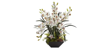 Cymbidium Orchid Silk Arrangement with Black Vase in White by Bellanest