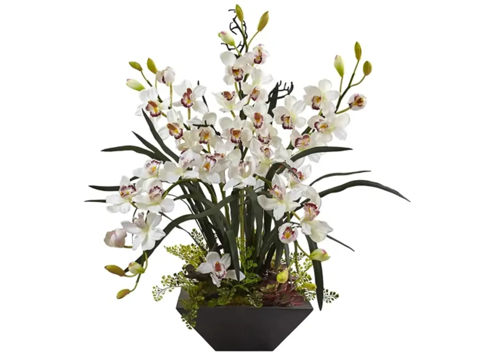 Cymbidium Orchid Silk Arrangement with Black Vase in White by Bellanest