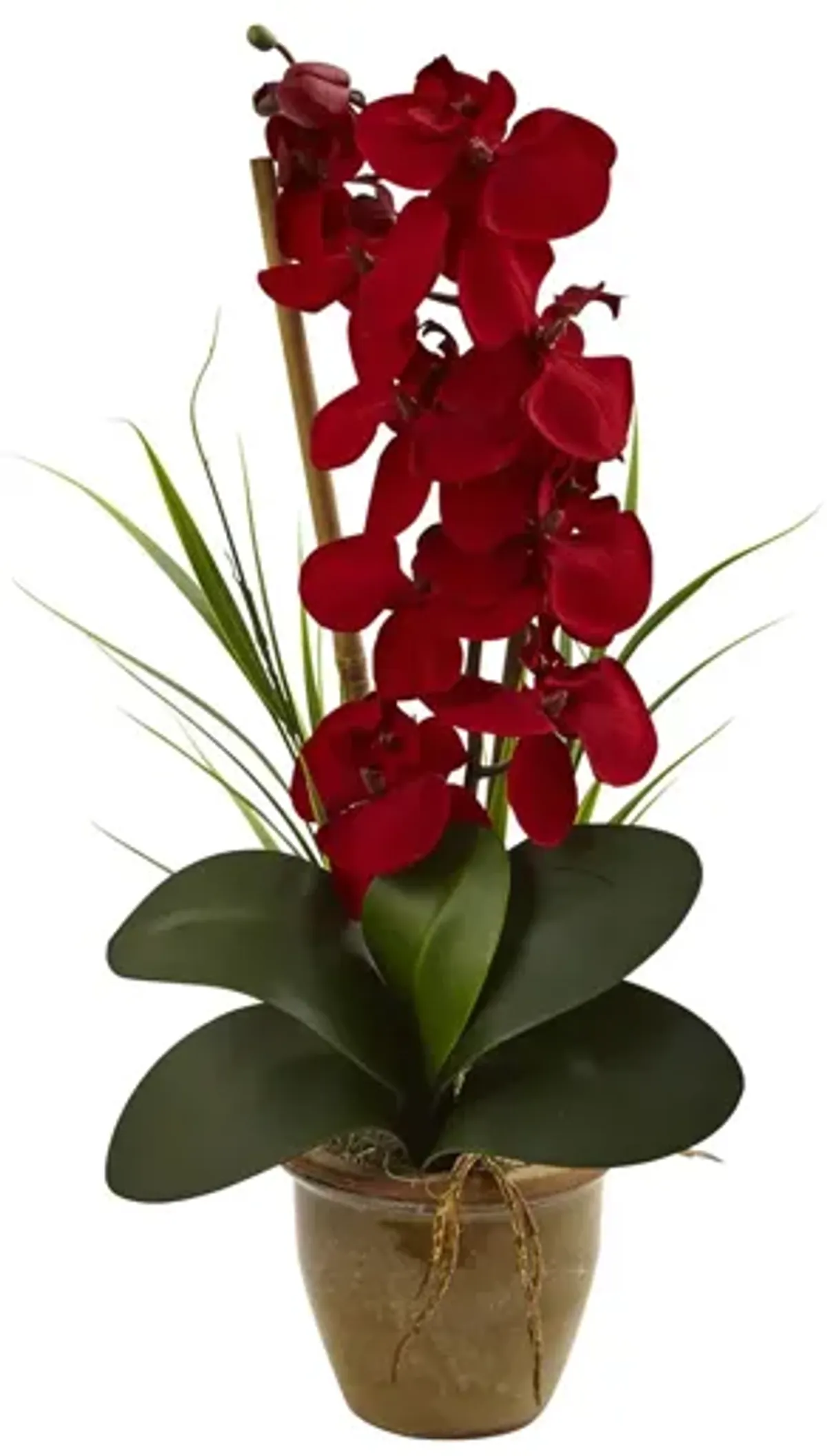 Phalaenopsis Orchid Silk Arrangement in Ceramic Vase