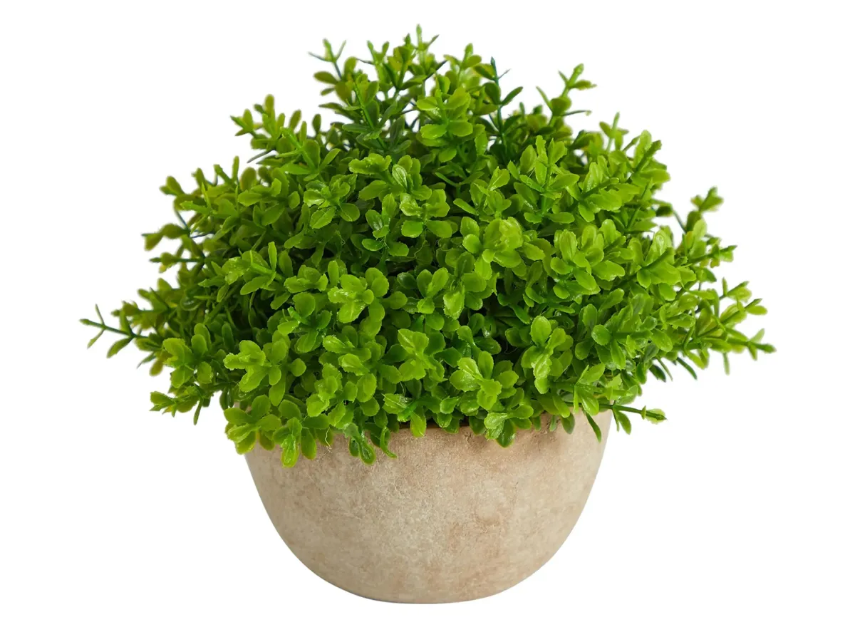 5in. Boxwood Artificial Plant in Decorative Planter in Green by Bellanest