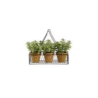7in. Mini Jade Garden Artificial Plant in Hanging Planter in Green by Bellanest