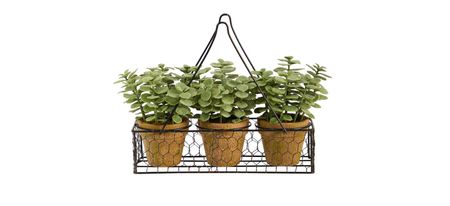 7in. Mini Jade Garden Artificial Plant in Hanging Planter in Green by Bellanest
