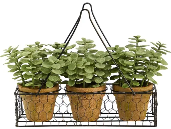 7in. Mini Jade Garden Artificial Plant in Hanging Planter