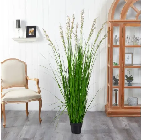 5.5ft. Plume Grass Artificial Plant in Green by Bellanest